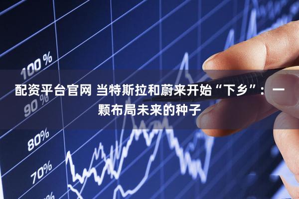 配资平台官网 当特斯拉和蔚来开始“下乡”：一颗布局未来的种子